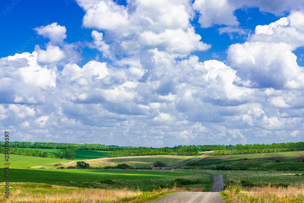 View of agricultural field with white fluffy clouds in blue sky at sunny summer day