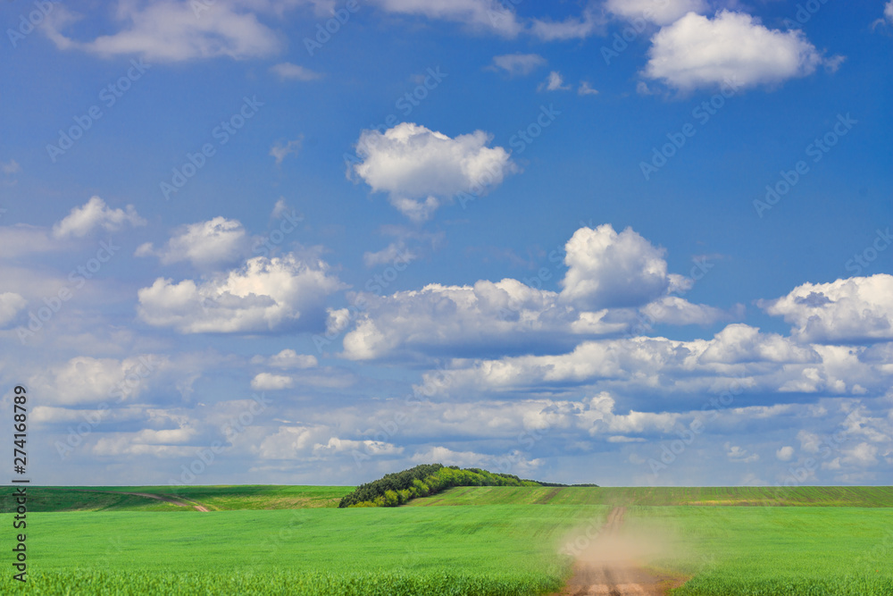 Fototapeta premium picturesque view of road among agricultural field with white fluffy clouds in blue sky at sunny summer day
