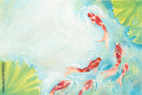 Watercolor hand painting, two koi carp fish in pond, symbol of good luck and prosperity