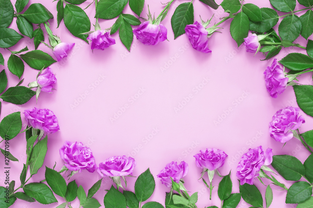 Rose flowers composition on pink background