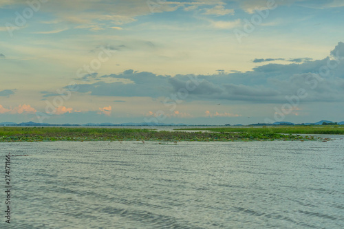 Bueng Boraphet Lake at sunset in Nakhorn Sawan Province, Thailand photo