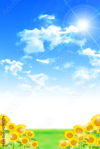 ひまわり　夏　風景　背景