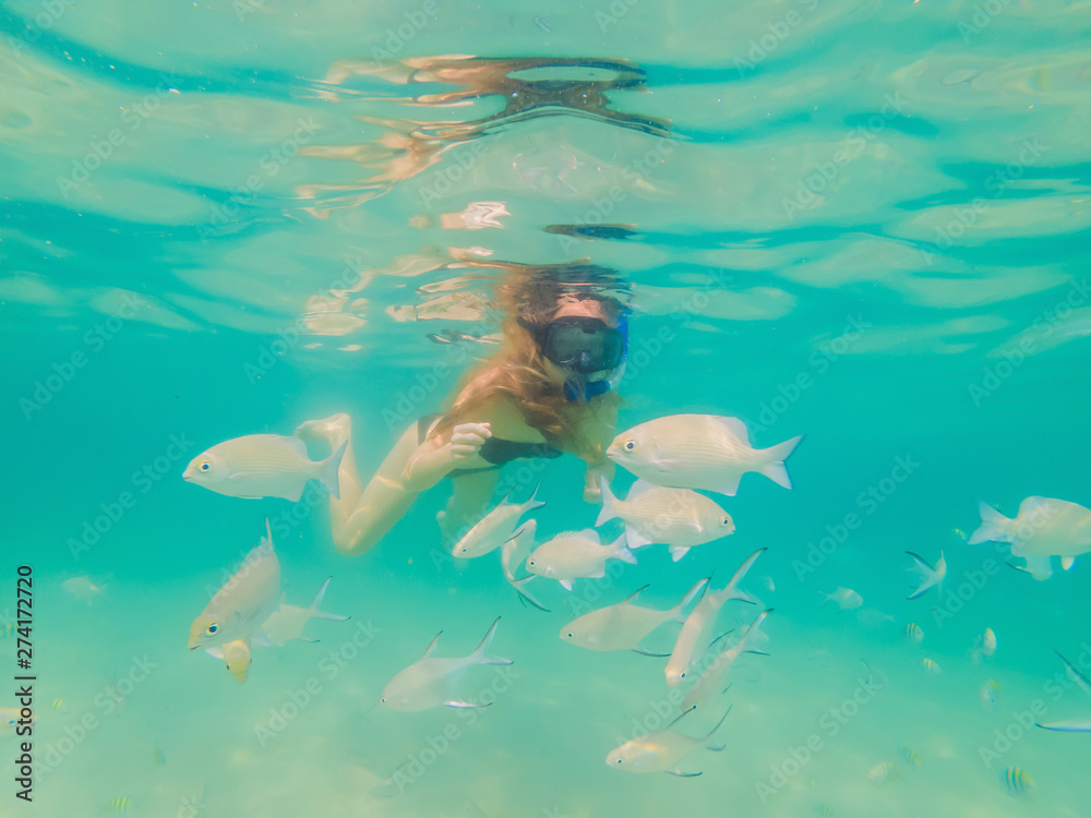 Happy woman in snorkeling mask dive underwater with tropical fishes in coral reef sea pool. Travel lifestyle, water sport outdoor adventure, swimming lessons on summer beach holiday Happy woman in snorkeling mask dive underwater with tropical fishes in coral reef sea pool. Travel lifestyle, water sport outdoor adventure, swimming lessons on summer beach holiday