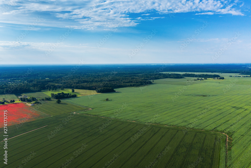 Naklejka premium Morning light on countryside landscape.