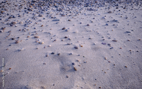 Photography Rocky stewn beach on Martha's Vineyard at lowtide