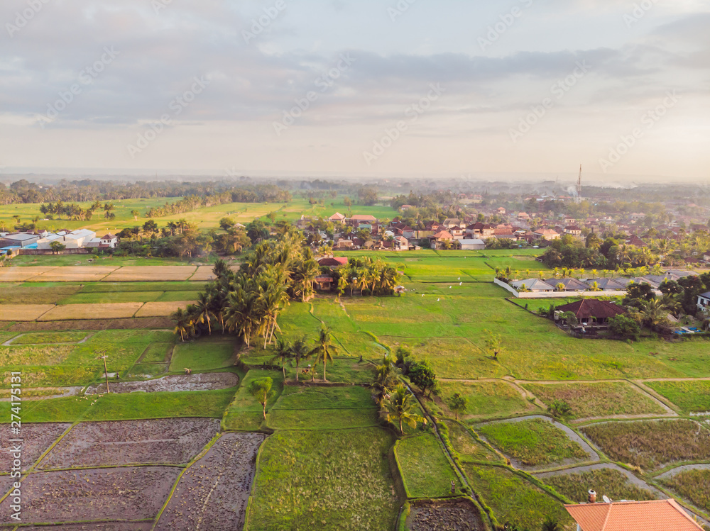 Image of beautiful Terraced rice field in water season and Irrigation from drone,Top view of rices paddy Image of beautiful Terraced rice field in water season and Irrigation from drone,Top view of rices paddy