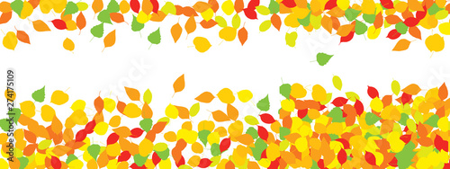 Colourful Autumn Leaves Pattern on White Background