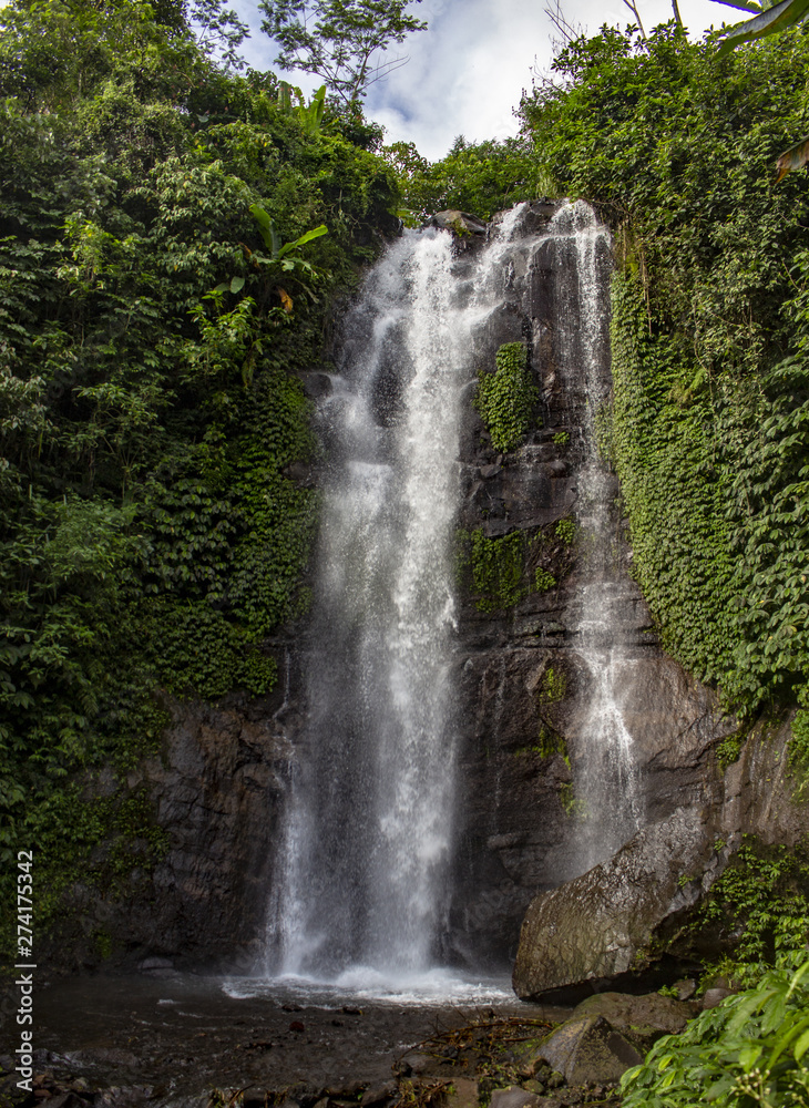 Fototapeta premium cascade et verdure Bali