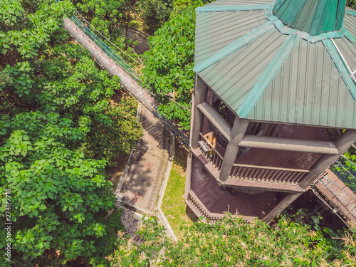 Photography Young woman tourist at capilano suspension bridge kuala lumpur forest eco-park a