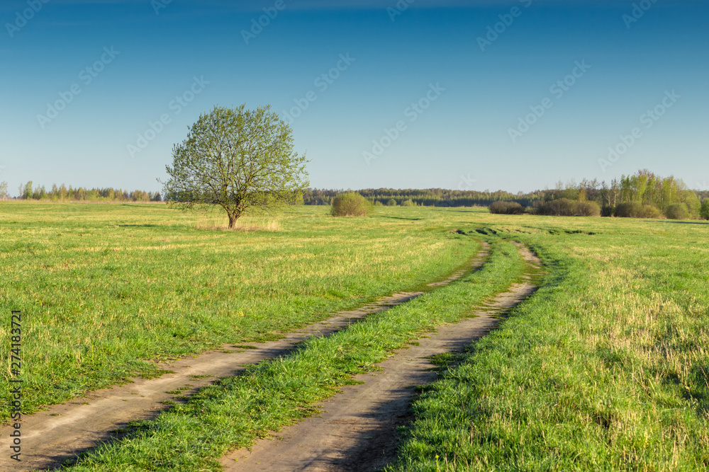 rural road in the field