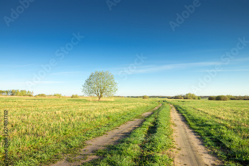 road in the field