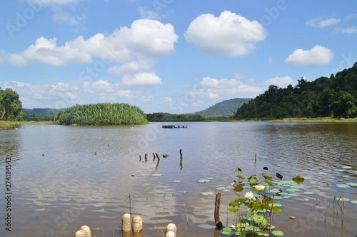 scenic view of Tasik Chini, Pahang, Malaysia photo