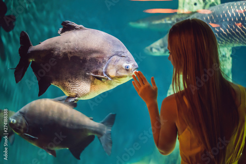 Canvas Print Young woman touches a stingray fish in an oceanarium tunnel
