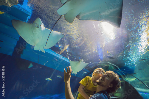 Father and son looking at fish in a tunnel aquarium