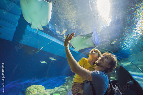 Fototapeta Father and son looking at fish in a tunnel aquarium