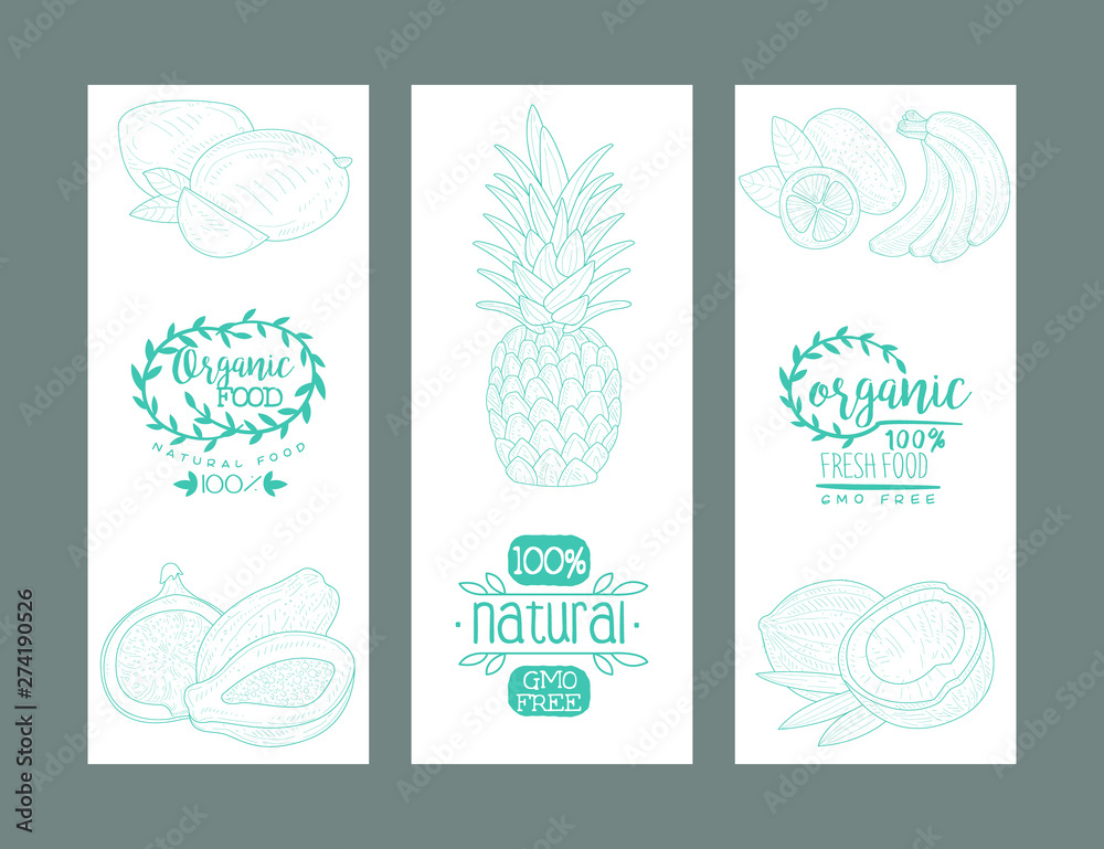 Organic Natural Food, Gmo Free Banners Templates Set, Hand Drawn Vector Illustration