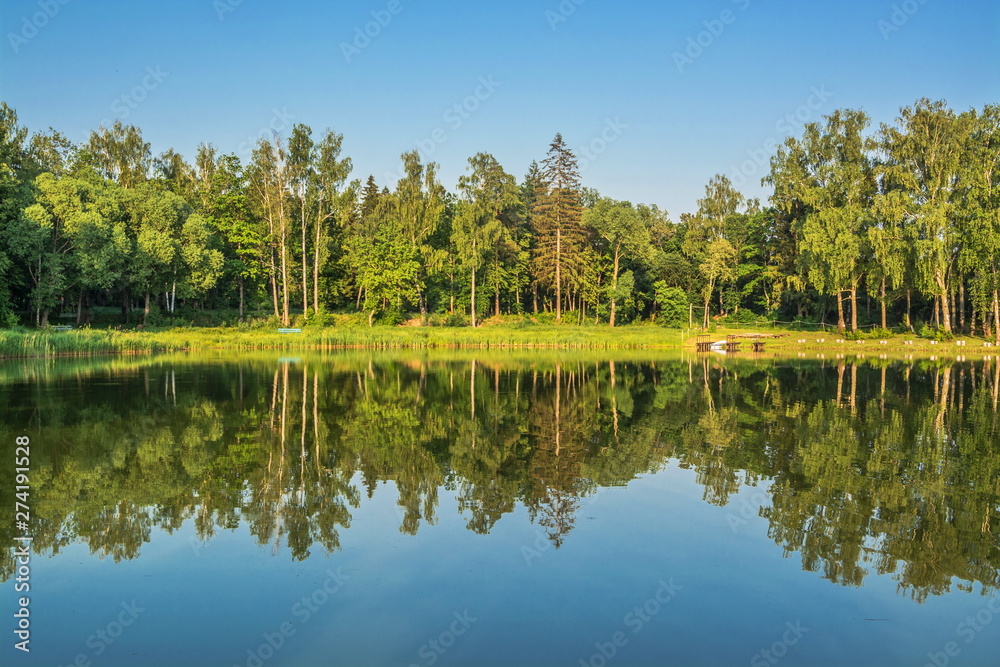 The reflection of forest in water of forest lake, as in mirror The reflection of forest in water of forest lake, as in mirror