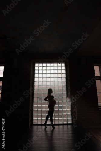 Portrait of a pregnant girl near the window
