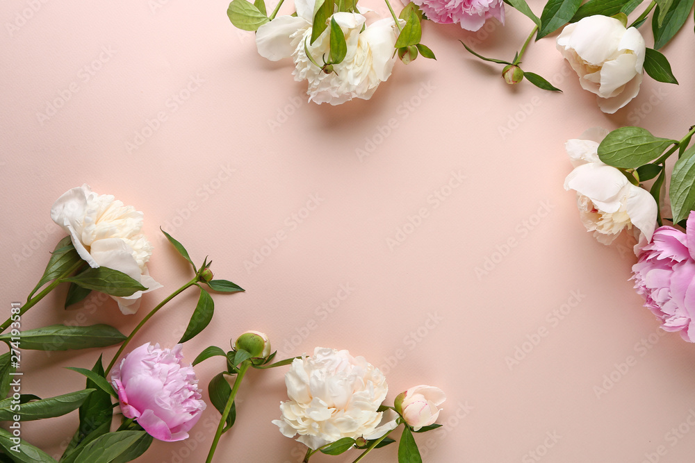 Beautiful fresh peony flowers on color background