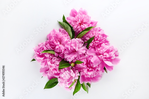 Beautiful peonies on white background