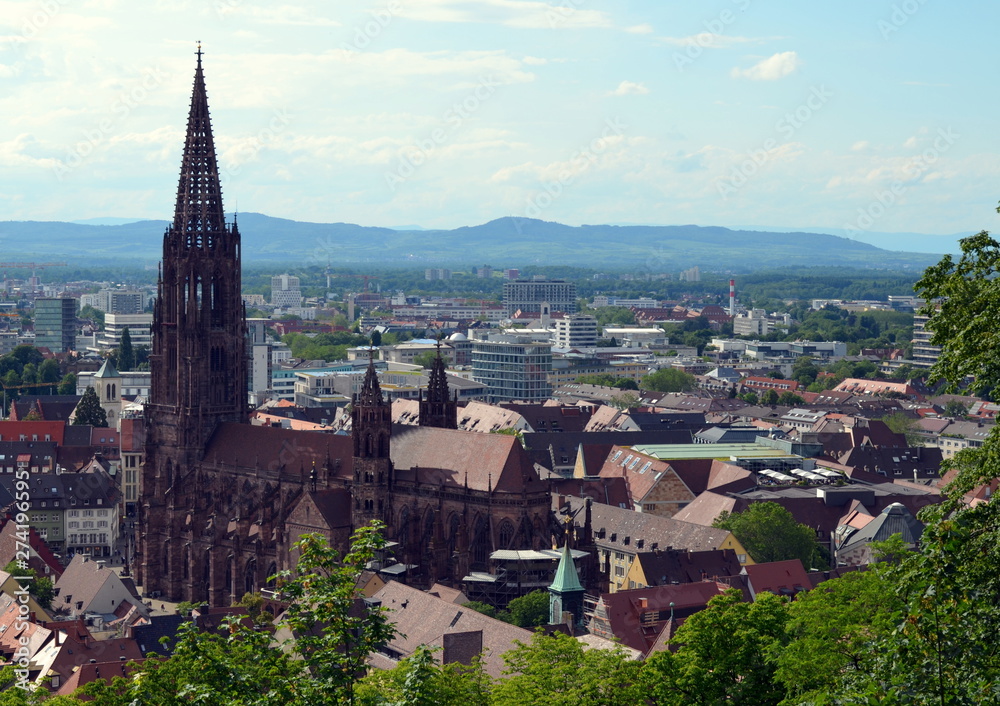 Blick aufs Freiburger Münster