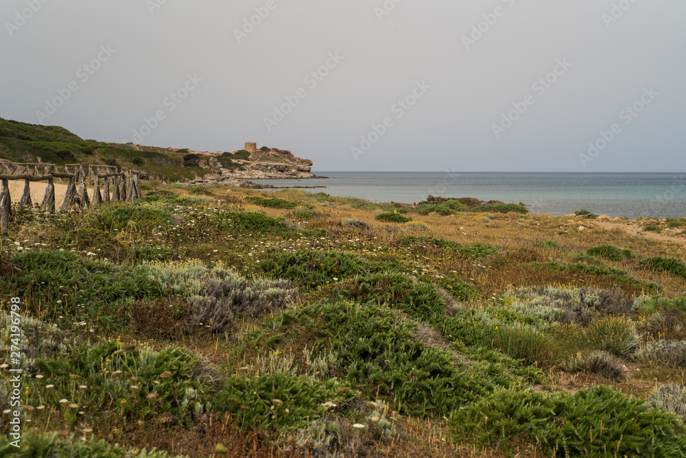 Beautiful sand dunes on a remote beach Beautiful sand dunes on a remote beach
