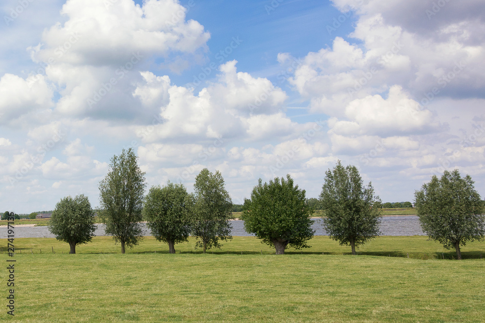 View on a typical river landscape in the Netherlands. A perfect dutch sky with beautiful clouds, a row of tress and green grass. Ideal area for walking, hiking, relaxing and cycling.