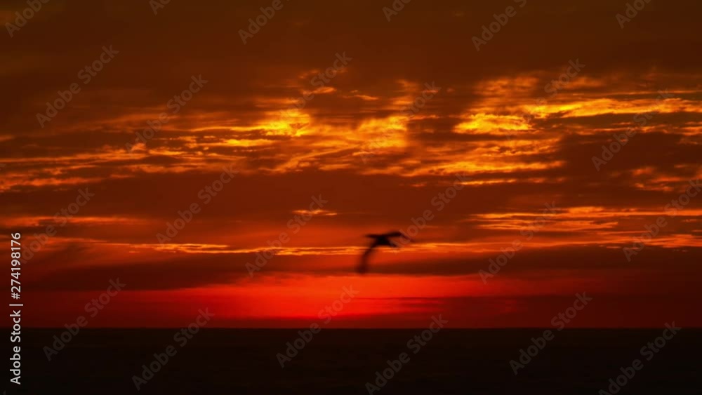 Medium low-angle still shot of a beautifully glowing, orange and red sunset sky clouds above dark ocean water, beach scene Medium low-angle still shot of a beautifully glowing, orange and red sunset sky clouds above dark ocean water, beach scene