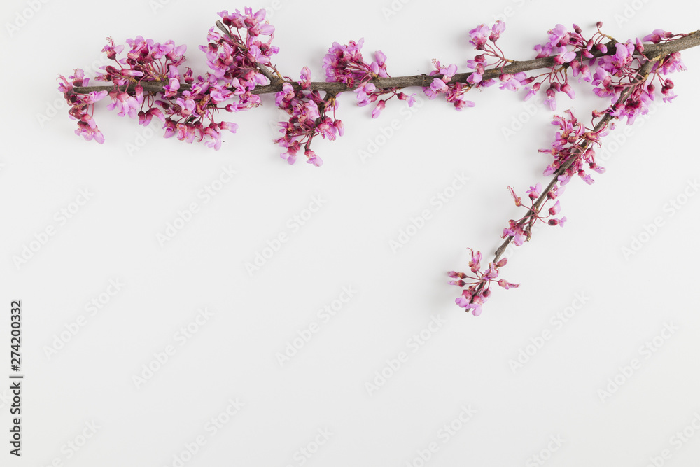 Obraz premium Top view flowers with copy space