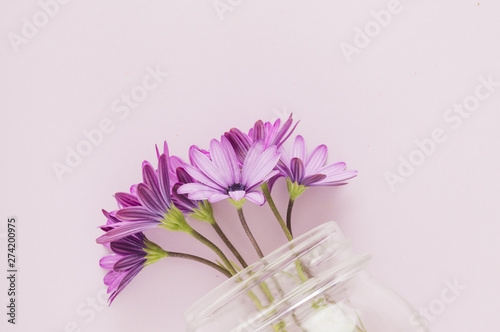Top view flowers inside glass jar