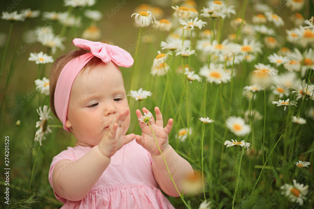little girl sitting in daisies little girl sitting in daisies