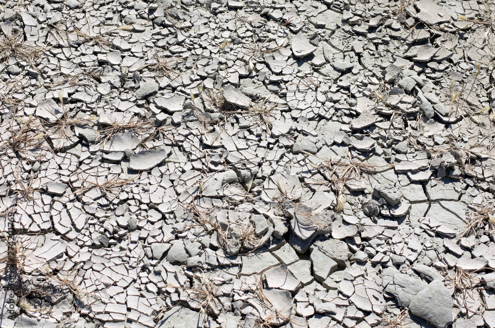 Bleached dry stratified soil in cracks with dried plants in sunny summer day Bleached dry stratified soil in cracks with dried plants in sunny summer day