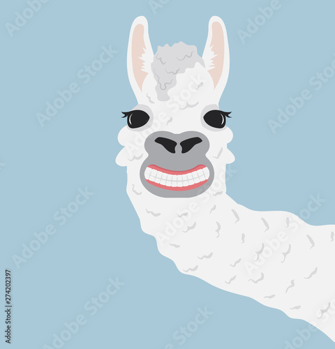 Happy llama smile Vector Illustration