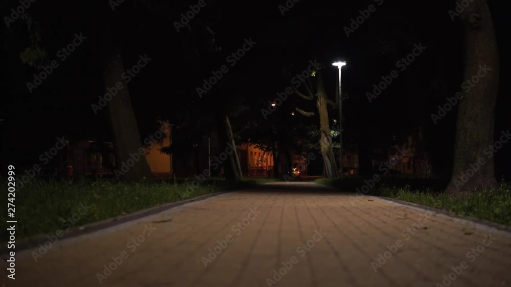 Magical view of path in empty city by night. A long straight road between trees