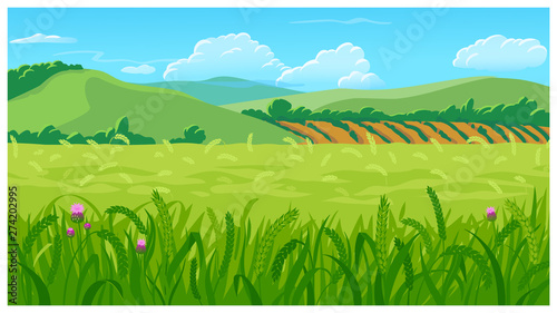 Summer field vector illustration