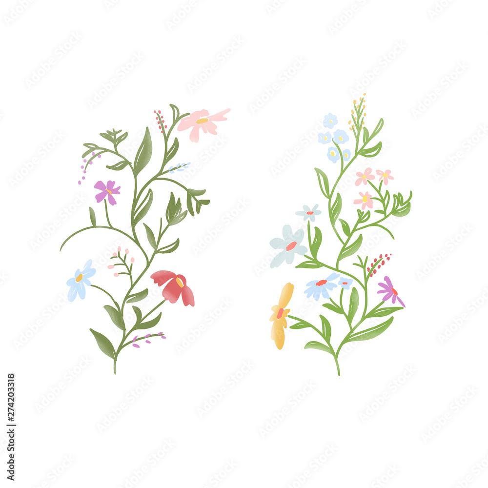 Digital hand drawn sketch illustration of two floral elements isolated on white