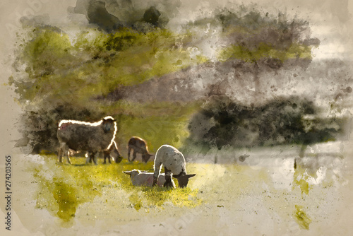 Digital watercolor painting...
