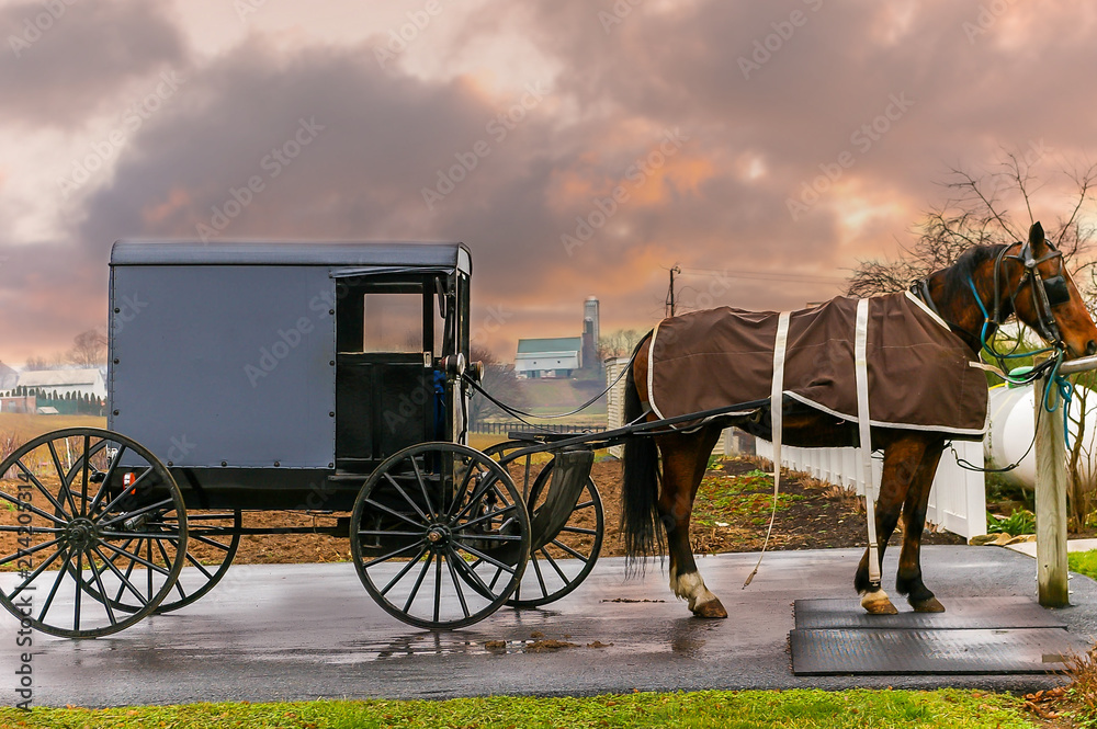 Buggy Amish typique en Pennsylvanie, USA