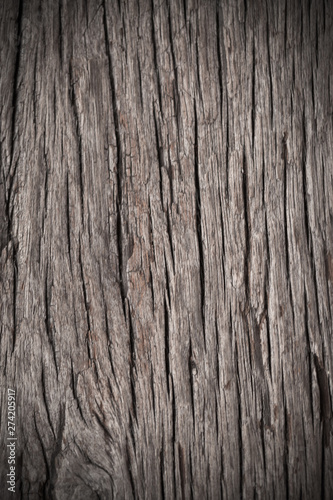 Texture of old bark wood