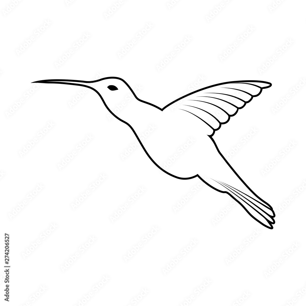 Obraz premium Sketch of Bird