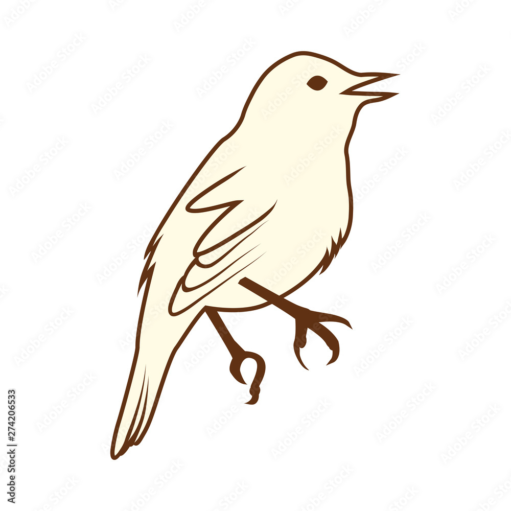 Sketch of Bird Sketch of Bird
