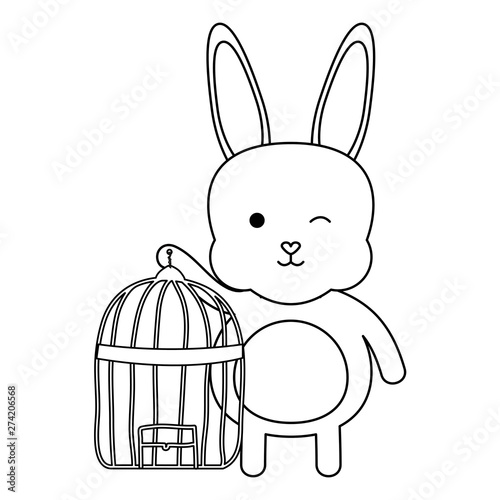 cute little rabbit with cage bird