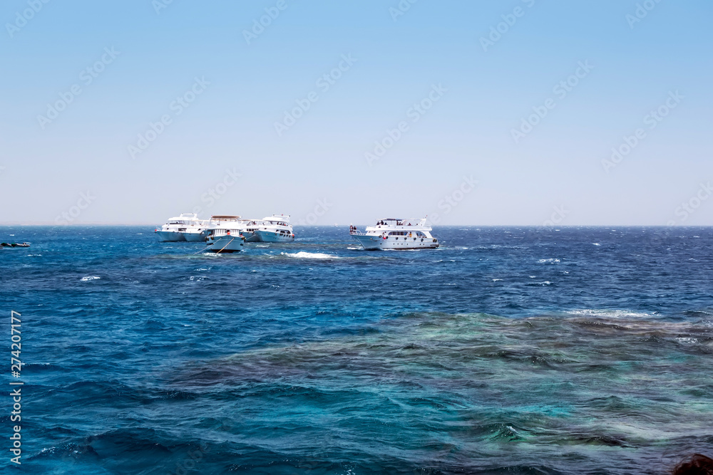 White Island Ras Mohamed National Park Snorkeling Boat Trip water background.