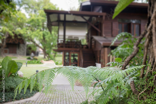 Beautiful Thai vintage style house and tropical garden