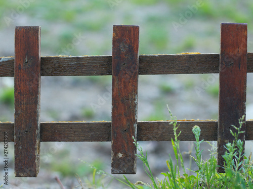 Fence with wooden fence and green grass