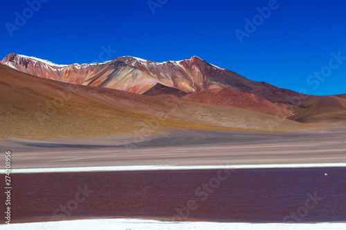 Colored Red Altiplanic Lagoon, a shallow saline lake in the southwest of the Altiplano of Bolivia