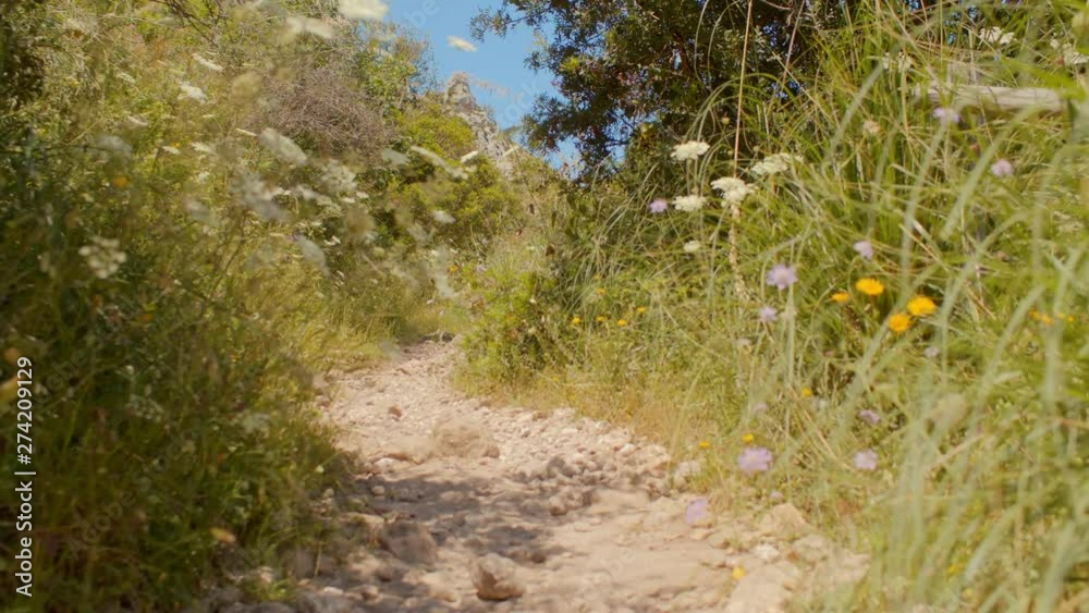 A LOW ANGLE POV SHOT walking on a beautiful mountain trail. A LOW ANGLE POV SHOT walking on a beautiful mountain trail.
