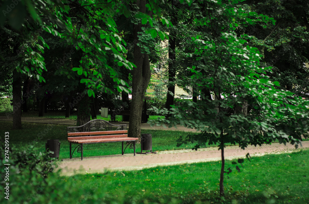 bench for relaxation and inspiration in the green park