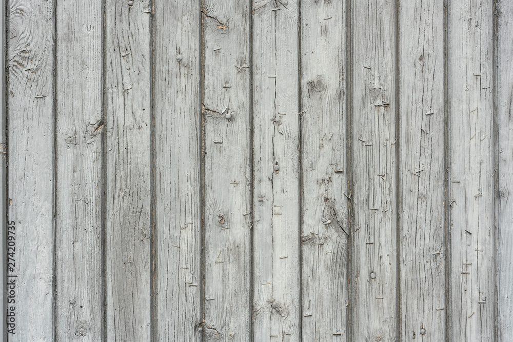 Picture of white natural wood textured background Picture of white natural wood textured background