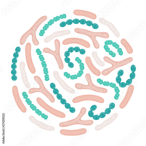 Vector probiotics in circular shape. Bifidobacterium, lactobacillus, streptococcus thermophilus, lactococcus, propionibacterium. Brochure, label, cover, poster, package, advertising, presentation